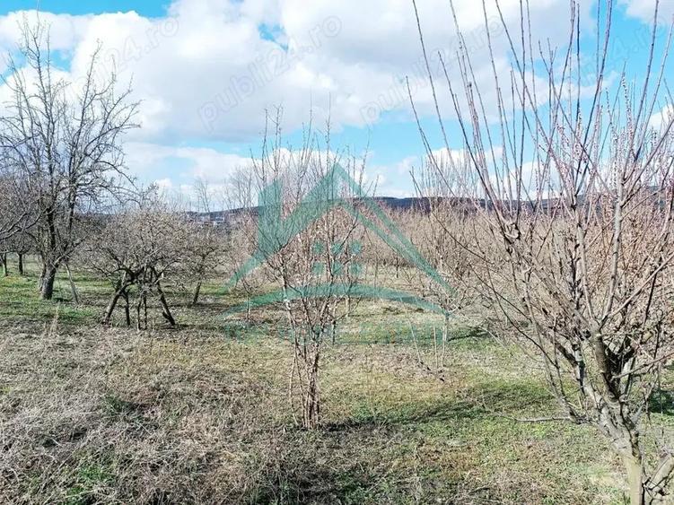 Teren intravilan de vanzare, in satul Pata! - 2