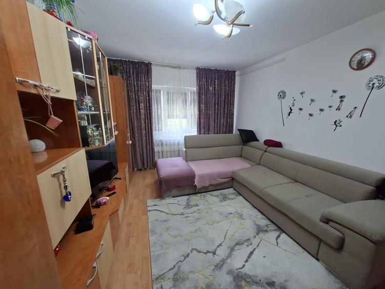 Colentina,Rau Fundeni,Maior Vasile Bacila - 3