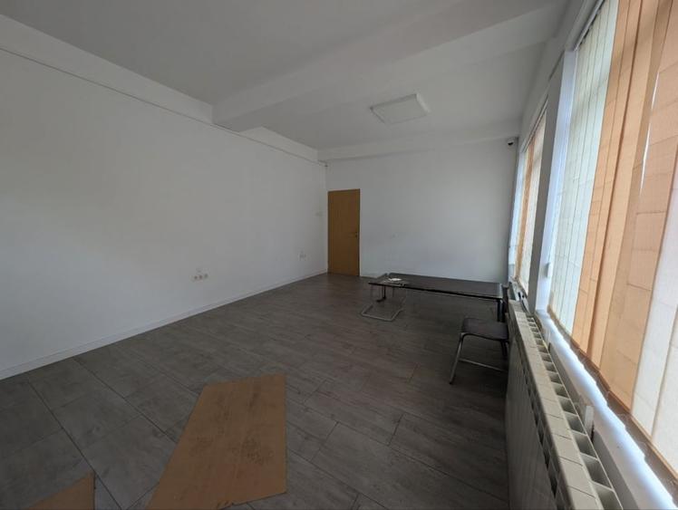 Spatiu Comercial  50 mp, Stradal, Malu Rosu - 2