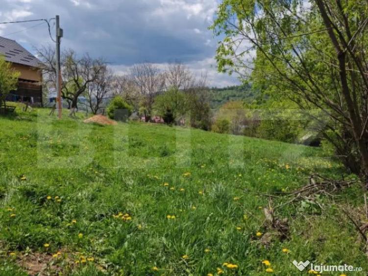 Teren intravilan, 1865 mp, de vanzare in Moieciu - Brasov - 8