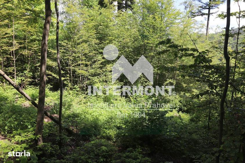 Teren Sinaia Zona Centrala, 500mp, Vedere Montana, Toate Utilita?ile - 9