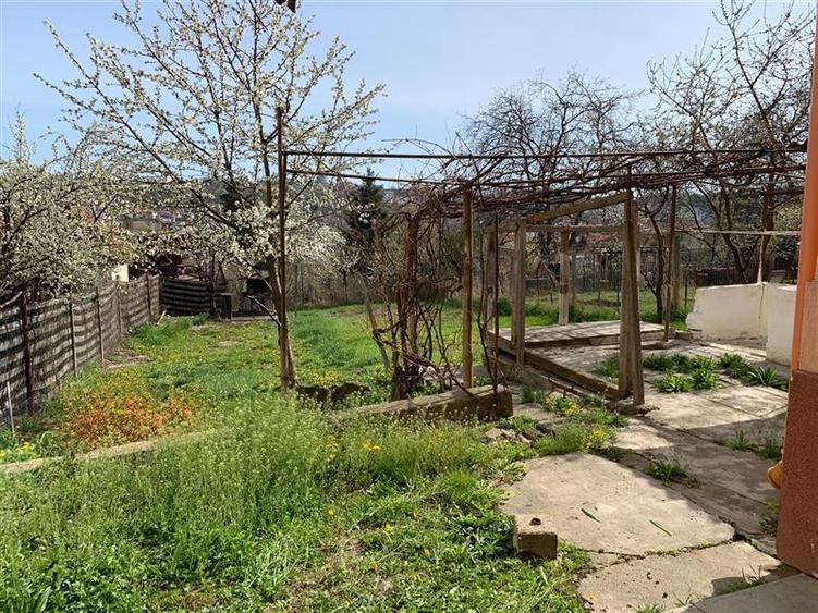 Inchiriere casa 3 camere cu gradina de 500 mp in Dambul Rotund - 15