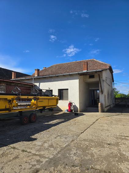 Cenad-Posibilitate Afacere-casa si 669mp teren-Ultracentral - 3