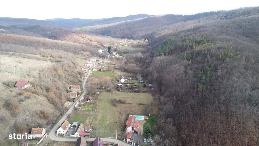 Pensiune/Casa de vanzare natura verde Cladova - 5