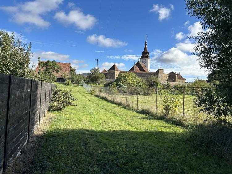 Gradina din Cetate un colt de natura si istorie, doar al Tau - 4