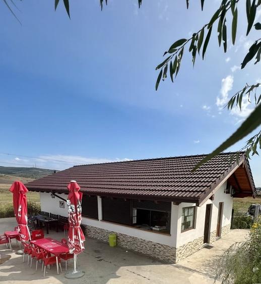 PENSIUNE/PISCINA MUNTENII DE SUS VASLUI - 3