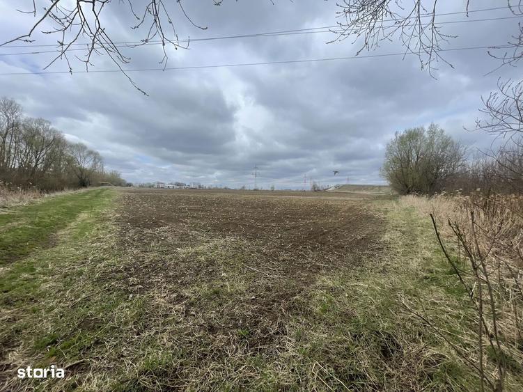 Teren Intravilan | 50 Ari | Zona Periferica Radauti - 8