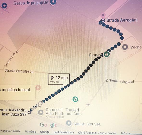 Teren Domnesti Catiche - 2