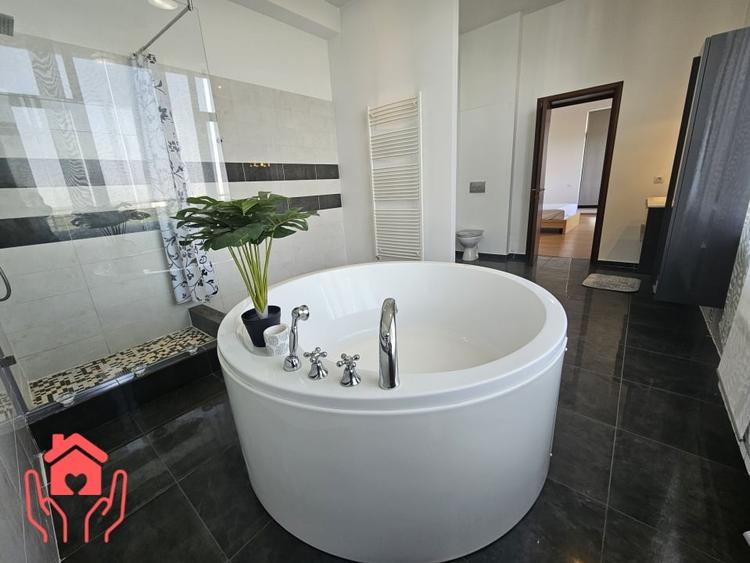 IANCU NICOLAE (ZOO)-PENTHOUSE 250 mp utili + 250 mp terasa, 3 dormitoare! - 24