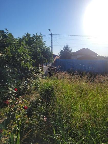 TEREN 510 MP ZONA PALAZU MARE - 6