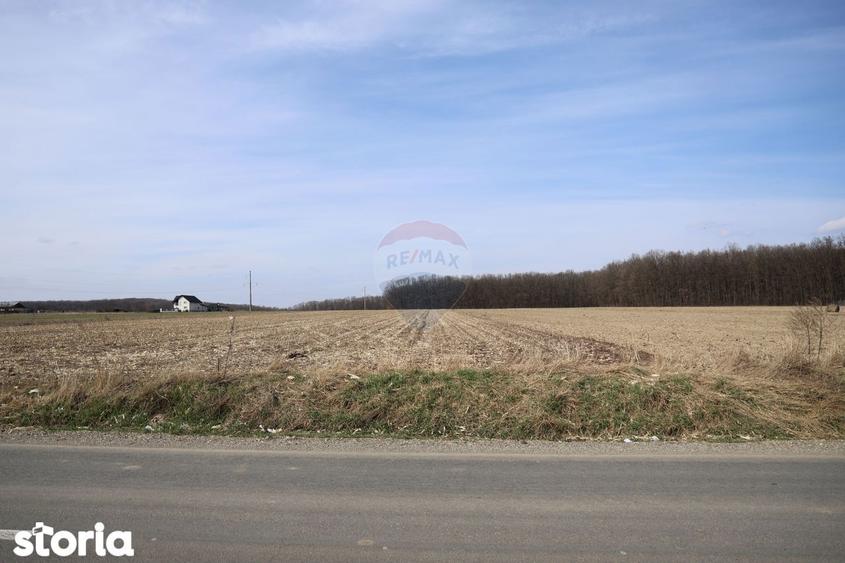 Teren 9,740mp Suceava / Strada Principala - 4