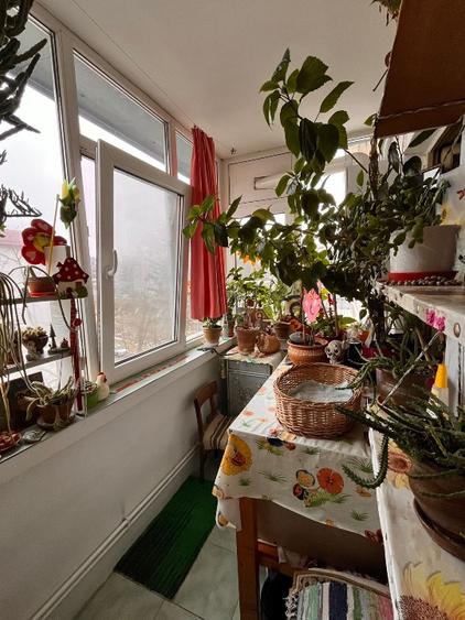 Ap. 3 camere decomandat - Pers. fizică  - Str. Petre Țuțea, zona Nicolina 1 - 7