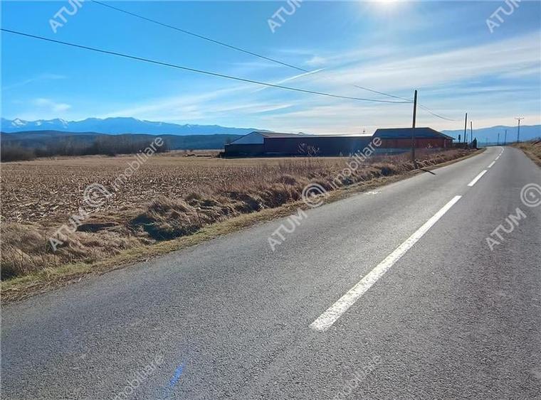 Teren pretabil investitie in Daia judet Sibiu - 14