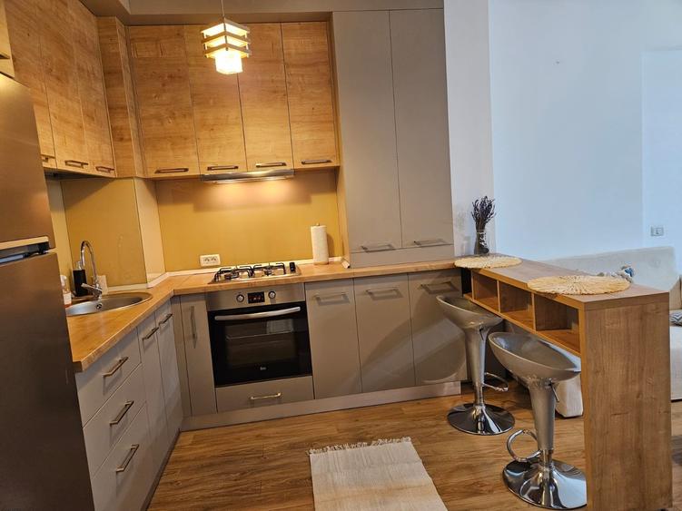 Iancu Nicolae/Residence 5 /Studio elegant / - 9