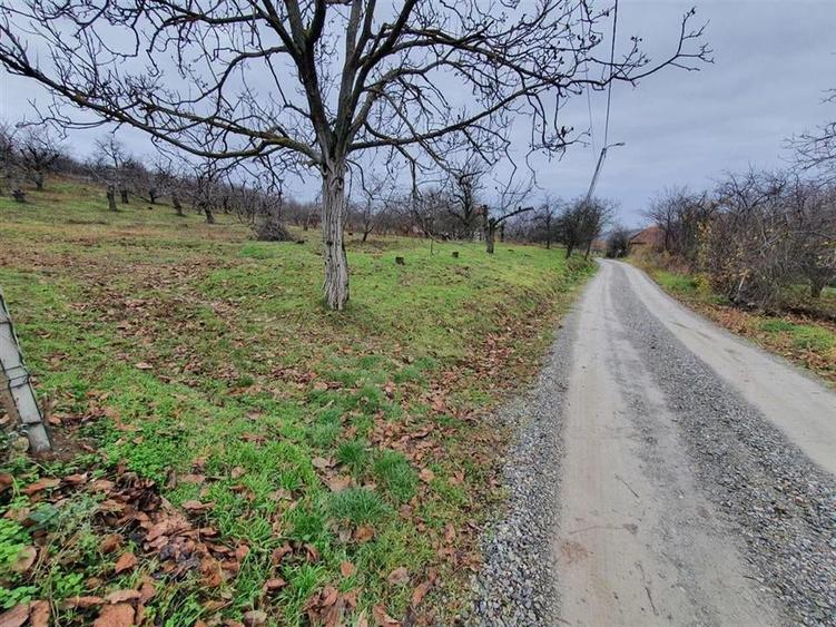 RECO Teren  in Oradea - 6