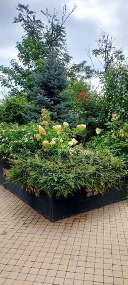 APARTAMENT 2 CAMERE || COMPLEX PARCULUI || 5 MINUTE DE HERASTRAU - 9