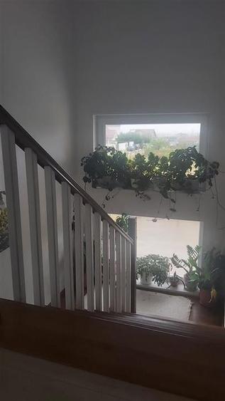 RECO Casa Cihei 1091mp - 10