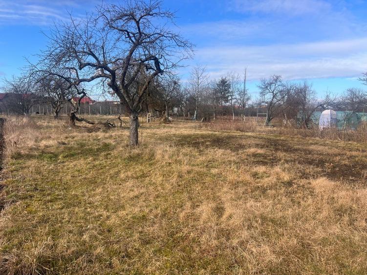 Teren de constructii Meschendorfer intravilan - 5