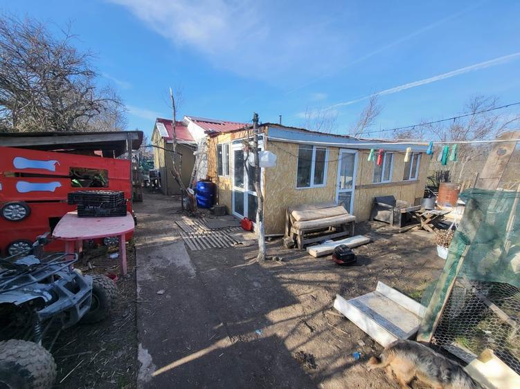 Vand gospodarie LETCA NOUA la 25 min de Bucuresti - 1