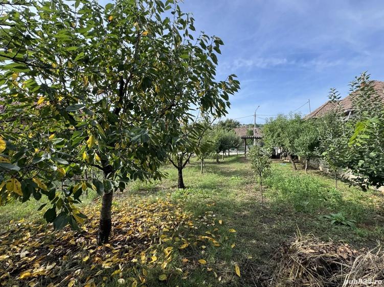 De vanzare casa in Tarnaveni, str. George Co?buc - 4