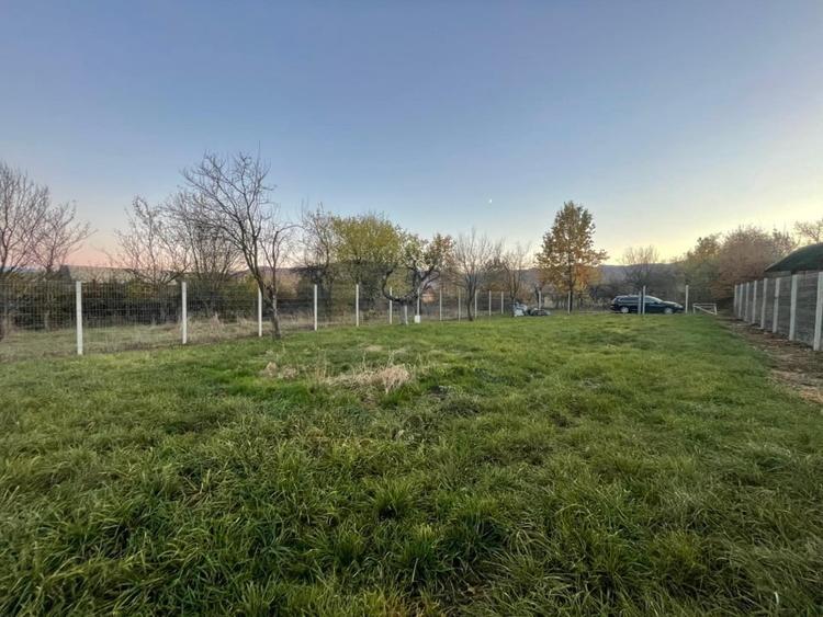 Teren intravilan de vanzare – Tropinii Noi - 1036 mp - 4