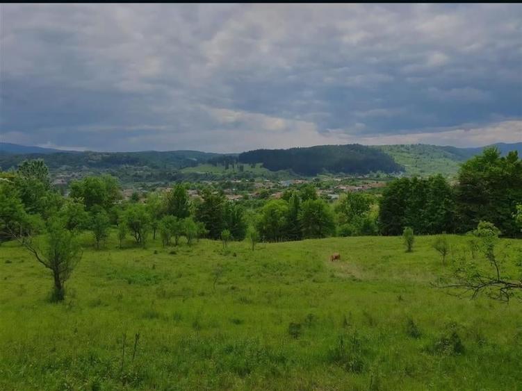 TEREN DE VANZARE PENTRU INVESTITII IN MANASTIREA CASIN - 2