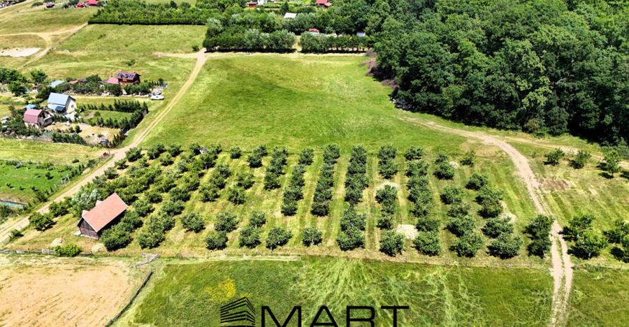 Teren extravilan 5000mp zona Cisnadie - 6