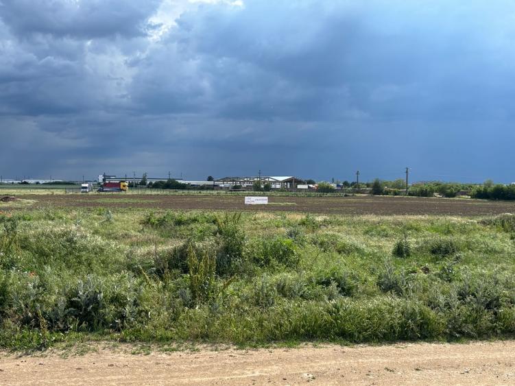 Teren 4.000 MP Zona Calea Borsului 37, Oradea Oportunitate investitie - 3