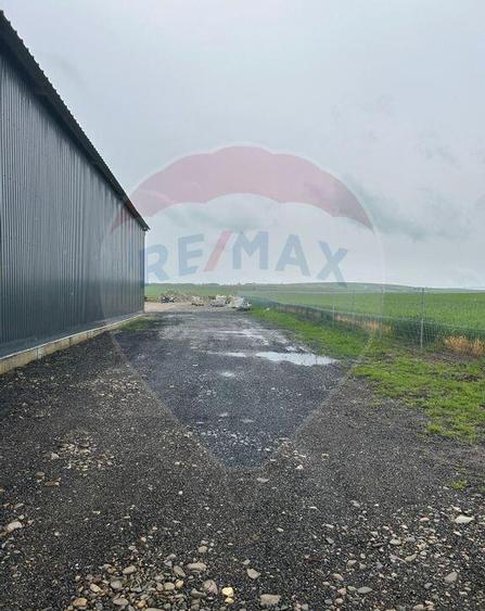 HALA - Spa?iu industrial de 345mp de inchiriat - 3