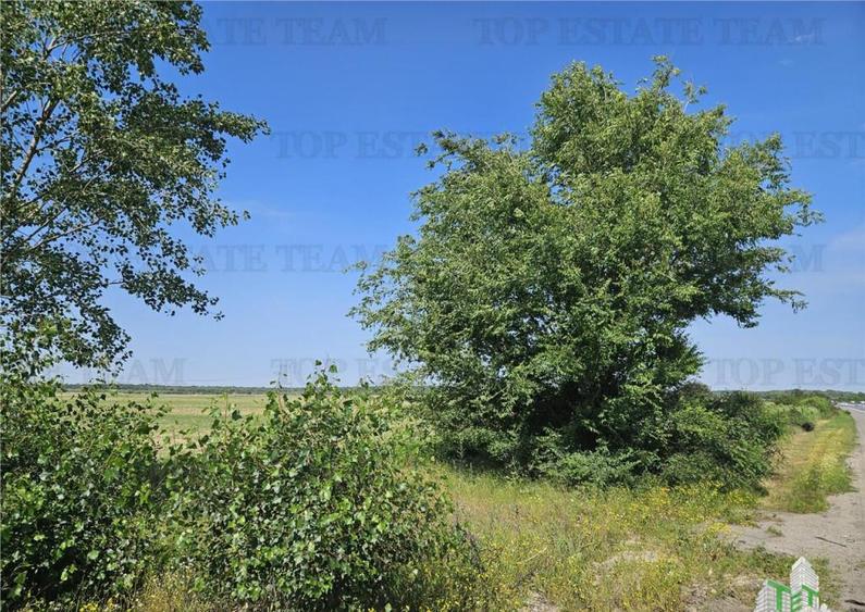 Teren cu pozitionare excelenta la A1, sensul Pitesti Bucure - 8