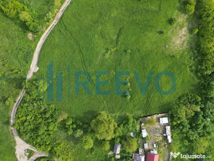 Teren de vanzare, Com. Racova, Str. Bradului, Bacau - 8
