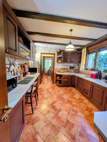 Jiului-Coralilor-Damaroaia,eleganta,robusta,garaj,curte intima,vegetatie matura - 13