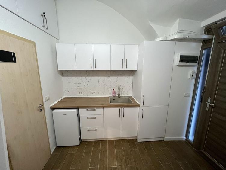 De inchiriat apartament 1 camera/ garsoniera Piata Unirii - 3