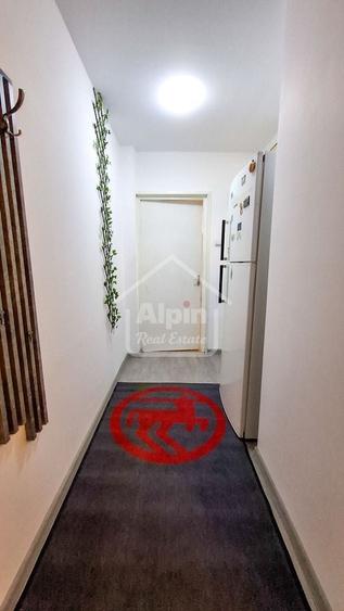 Suprafata Generoasa I Zona Gemenii - 23