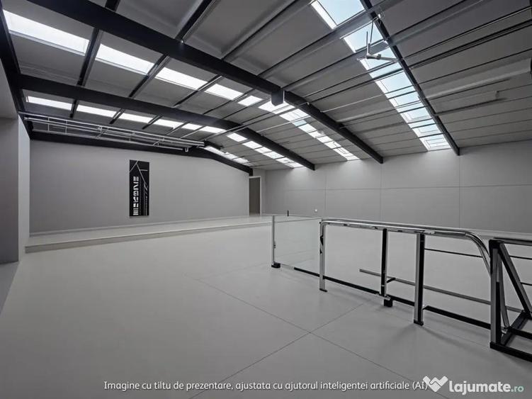 Complex de hale de in zona de Nord - 7