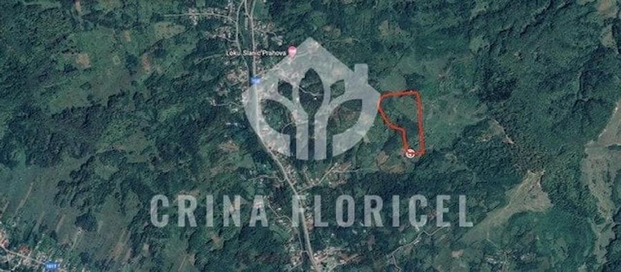 Vanzare PADURE - 3 HA - Varbilau, jud Prahova - 1