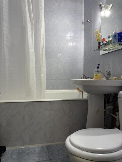 Drumul Taberei Raul Doamnei vanzare 2 camere mobilat - 4