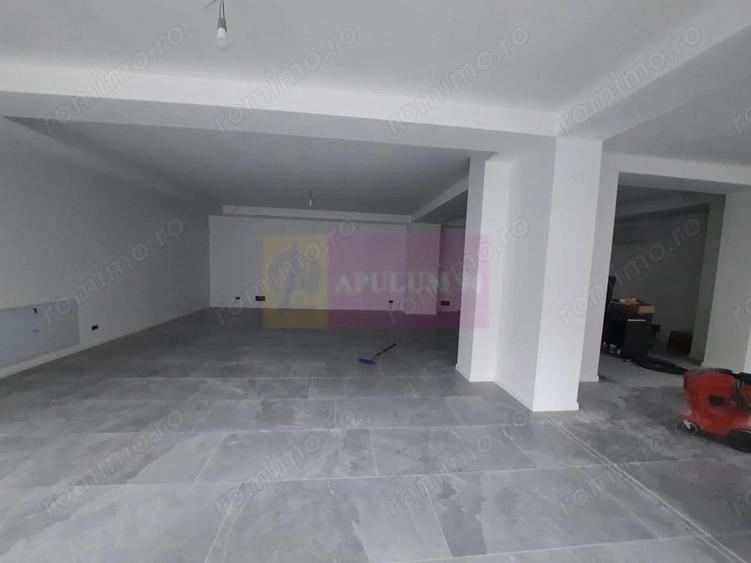 Inchiriere spatiu comercial in zona Marriott-13 Septembrie - 4