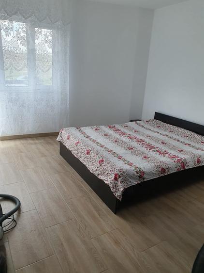 Ovidiu - vilă mobilată , utilată - 7