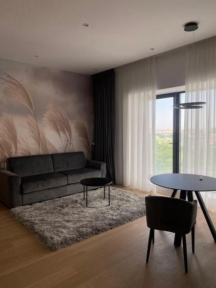 Apartament de inchiriat 2 camere - Floreasca, Barbu Vacarescu - 1