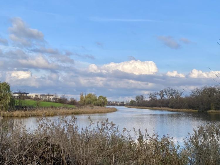 Teren la lac centru Corbeanca, vedere lac si padure, toate utilitatile - 14