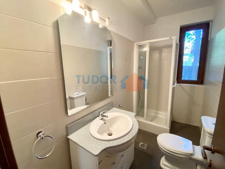 Vila cu piscina Iancu Nicolae - 19