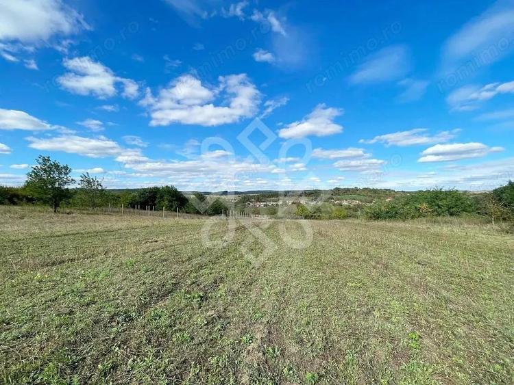 Teren intravilan 5995 mp de vanzare in Hidiselu de Sus - 6