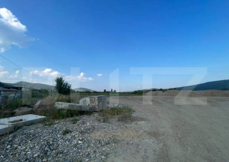 Oportunitate investi?ie: 53 ari in zona industriala, acc - 4