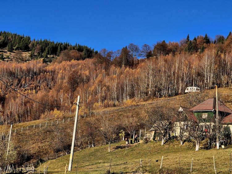 Teren de vânzare în sat Măgura/ Brasov– loc pentru familie, liniște și suflet - 4