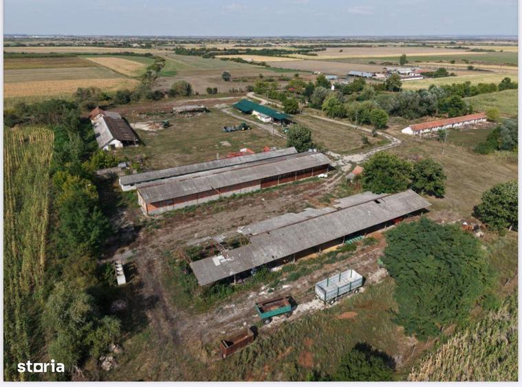 Spatiu multifunctional Salonta - 6