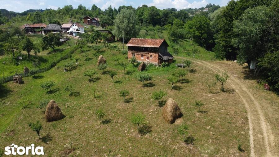 Teren de vanzare in comuna Cicane?ti, sat Bara?ti, Judet Arges. - 8