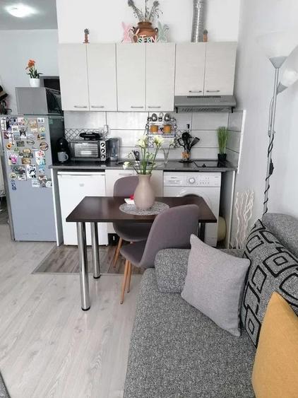 Apartament de 2 camere, zona Podu Ros - 4