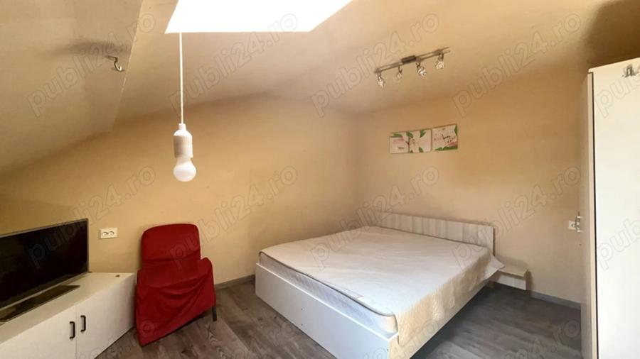 Pet Friendly Elisabetin Balcescu Maria Sinaia Medicina 2 Politehnica UVT - 3