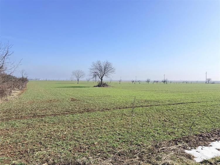 Teren Băicoi 3.000 mp | Ideal Construcție Casă sau Parcelare - 3